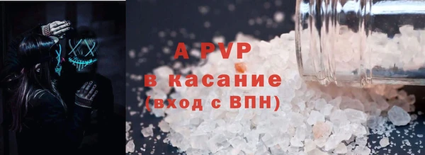 ПСИЛОЦИБИНОВЫЕ ГРИБЫ Осташков