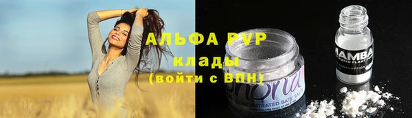 спайс Вяземский