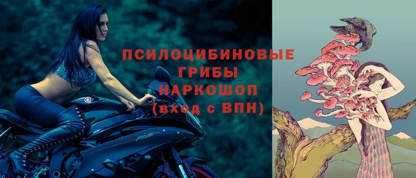 спиды Вязьма