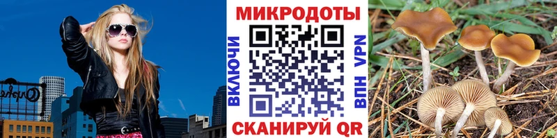 Галлюциногенные грибы GOLDEN TEACHER  купить наркотик  Протвино 