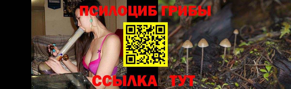 цены наркотик  Псилоцибиновые грибы мицелий  Галлюциногенные грибы GOLDEN TEACHER  Вход с VPN  Протвино 